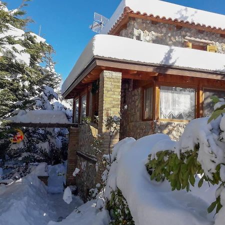 Livadi Chalet Arachova The Perfect Family Vacation Exterior foto
