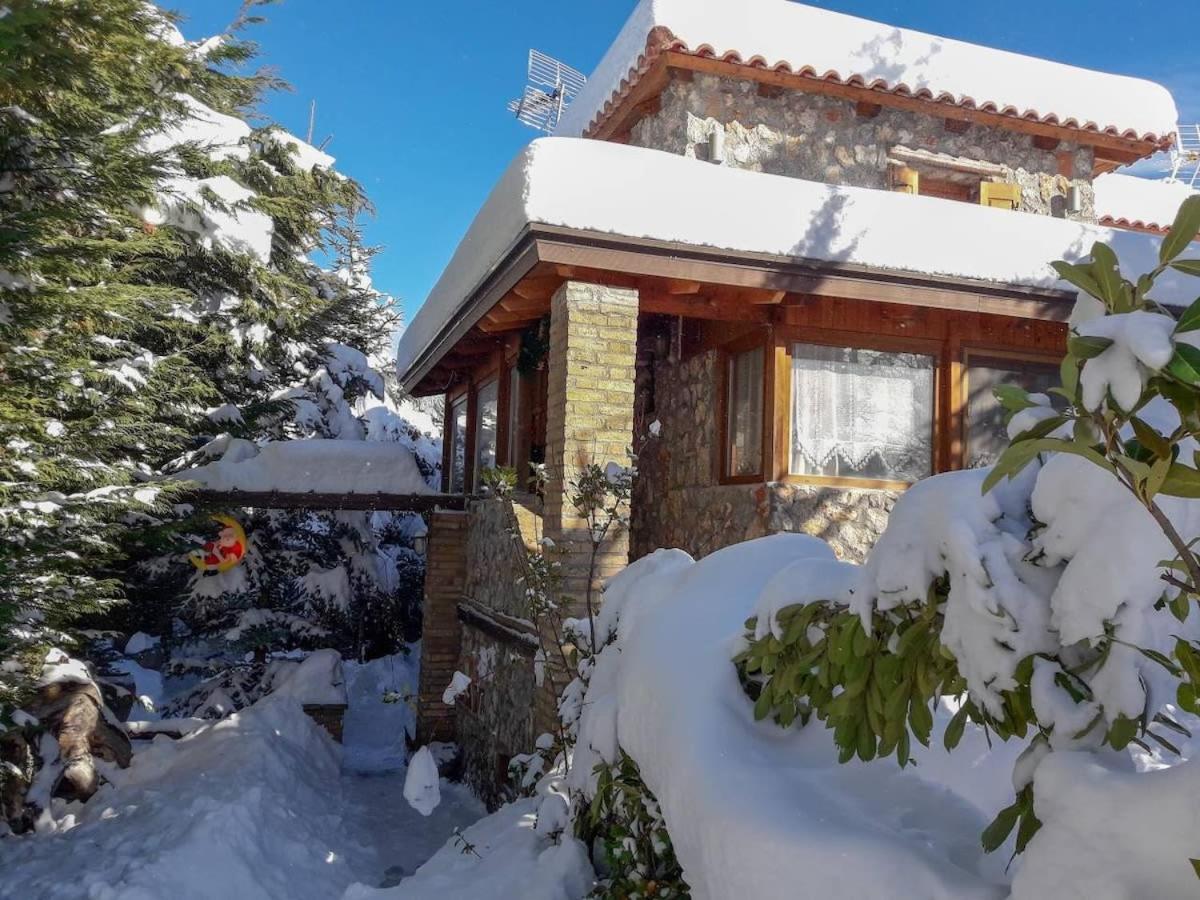 Livadi Chalet Arachova The Perfect Family Vacation Exterior foto